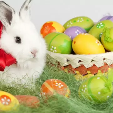 Mesaje de Paște. Cele mai frumoase urări de Paște pentru familie și prieteni