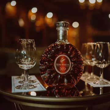 (P) Rémy Martin & Casa Timiş: Team Up for Excellence!