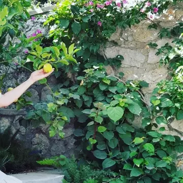 Andreea Marin, declarație surprinzătoare în mediul online: „Sunt mireasa”