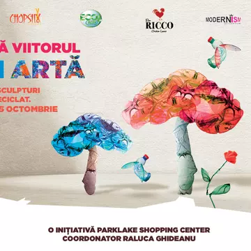 Schimbă viitorul prin artă