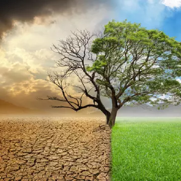 Raport ONU: Omenirea se va confrunta cu evenimente meteo extreme fără precedent