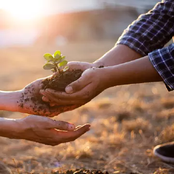 Măsuri pe care fiecare dintre noi le poate lua pentru a combate schimbările climatice
