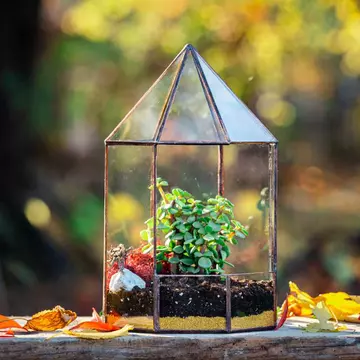 3 obiecte decorative care vor oferi culoare locuinței tale