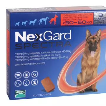 Top 4 produse veterinare ideale pentru animalul tău