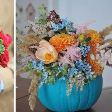 Un Halloween altfel! Dovlecii “înfloresc” și devin un element de decor elegant pentru orice casă