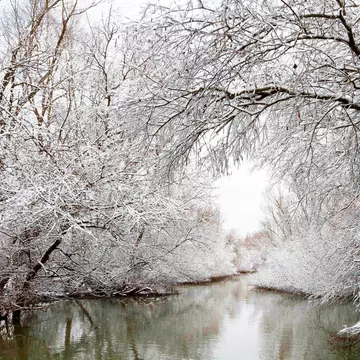 Revelion de poveste în Delta Dunării sau la Moieciu