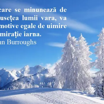 Citate despre iarnă. Surprinde magia zăpezilor și a Sărbătorilor luminate!