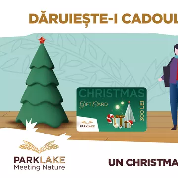 PARKLAKE TE INVITĂ SĂ CELEBREZI CRĂCIUNUL CU UN CADOU PERFECT PENTRU CEI DRAGI