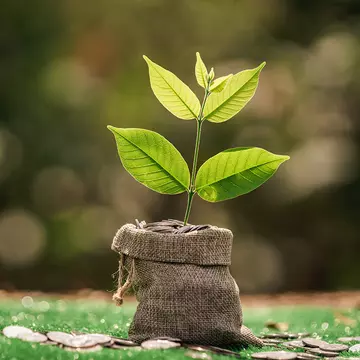 Ce este o întreprindere socială de inserție?
