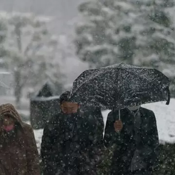 Ninsori neobișnuite în Tokyo. Cum arată orașul acoperit de zăpadă