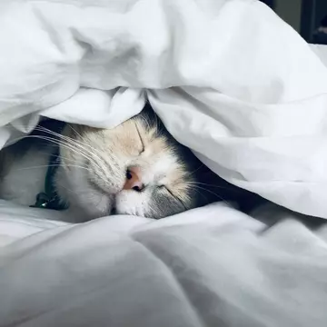Better sleeping: 5 pași simpli pentru un somn mai odihnitor