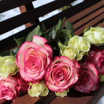 Cum petreci de Valentines Day? Iată câteva idei care te vor inspira