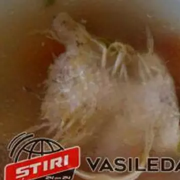Ce mâncare a primit o femeie care a născut prematur la Spitalul Județean Baia Mare