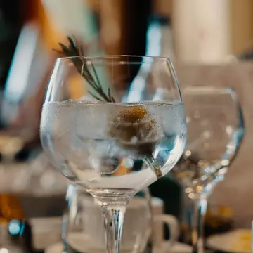 Originea ginului tonic: o scuză pentru a lupta împotriva malariei