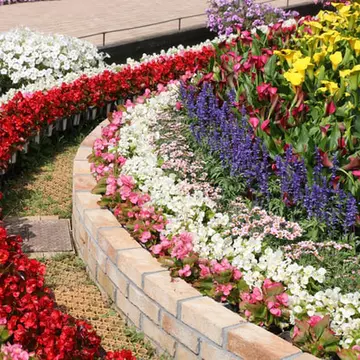 5 aspecte de reținut când amenajezi curtea cu flori