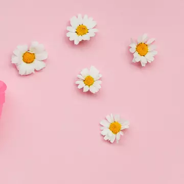 Mituri și adevăruri despre cupele menstruale, discutate cu un ginecolog