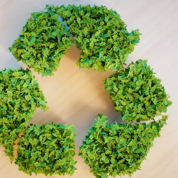 Raport: românii reciclează de cinci ori mai mult decât în urmă cu 14 ani