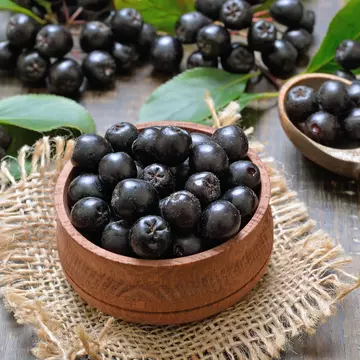 Fructele aronia. Cum se consumă și ce beneficii au!
