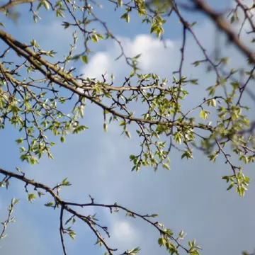 Cum va fi vremea de Paște 2022