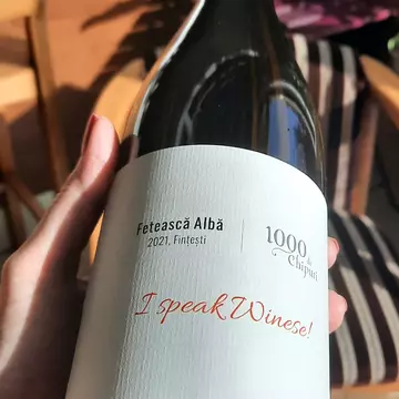 „Vinul tău din via ta”: Fetească Albă 2021 de la Crama „1000 de Chipuri” / De ce să cumperi doar o sticlă, când poți avea tot butașul?