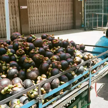 Beneficiile mangustanului, de la valori nutritive, până la sănătatea pielii tale