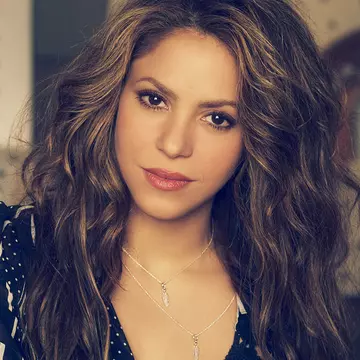 Shakira s-ar gândi să plece din Spania. Cum arată vila de lux din Miami în care vrea să se mute