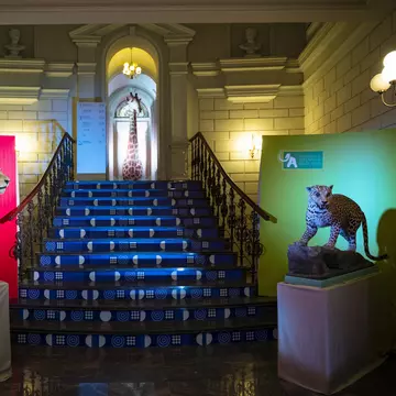 Art Safari și Muzeul Antipa prelungesc expozițiile temporare simultane