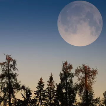 Luna plină din 12 august, ocazia perfectă pentru a te elibera de lucrurile care te țin pe loc. Este ultima super Lună din 2022