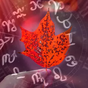 Horoscop zilnic, 6 noiembrie 2022. Nativi Balanță aveți grijă de sănătate!