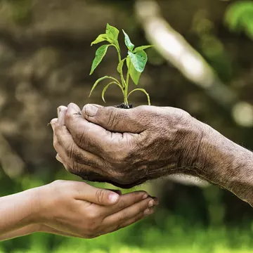 Plantăm semințele schimbării