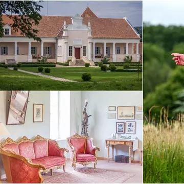 Câte proprietăți are regele Charles al III-lea al Marii Britanii în România, cum arată acestea și cât costă cazarea în ele