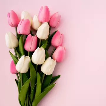 7 avantaje ale florăriilor online