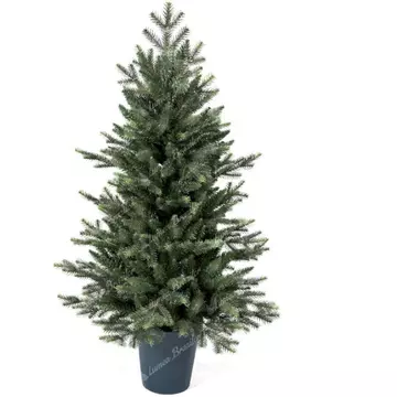 Știți unde puteți găsi mulți brazi artificiali cu un design perfect la prețuri mici?