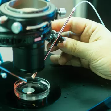 O femeie a murit în timpul unei proceduri de fertilizare in vitro