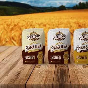 3 rețete de prăjituri pe care trebuie să le încerci în sezonul rece