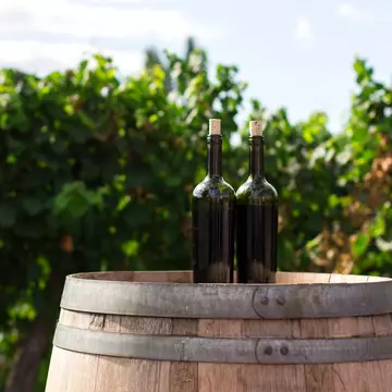Vin fără alcool: ce este și cum se fabrică