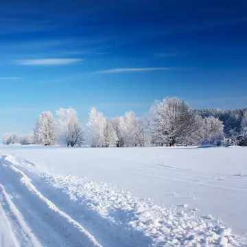 De ce este zăpada albă. Ce rol joacă lumina!