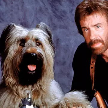 Chuck Norris și luptele lui amoroase. Faimosul actor e neschimbat la aproape 83 de ani