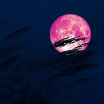Luna Roz, de pe 6 aprilie, vine cu schimbări importante pentru toate zodiile. Vezi ce surprize îți rezervă