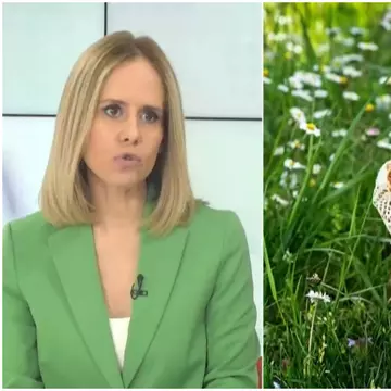 Dr. Mihaela Bilic, meniul ideal de Paște: „Le-aș încadra în categoria alimente de slăbit". Ce, cât și cum mâncăm sănătos / Exclusiv