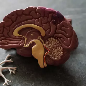 Cum poți folosi tehnica de brain map pentru sănătatea ta mintală?
