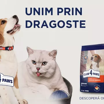 FourPaws.ro - conexiunea dintre inima ta și cea a animalelor de companie