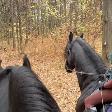 Elena Băsescu, de urgență la spital. Fiica fostului președinte Traian Băsescu ar fi căzut de pe cal