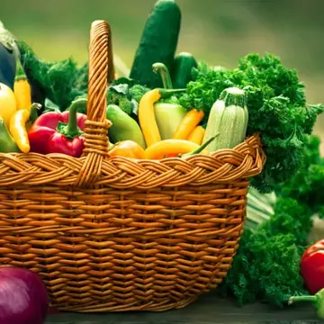 Eficiență maximă în agricultură cu un solar de legume de calitate !