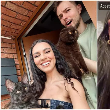 Mira, în lacrimi pe Instagram. Cu ce se confruntă solista: „Ieri am plâns de mi-a venit rău” / Video