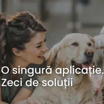 A fost lansată prima aplicație de servicii premium at home on demand, Artful Living, în urma unei investiții de 250.000 de euro
