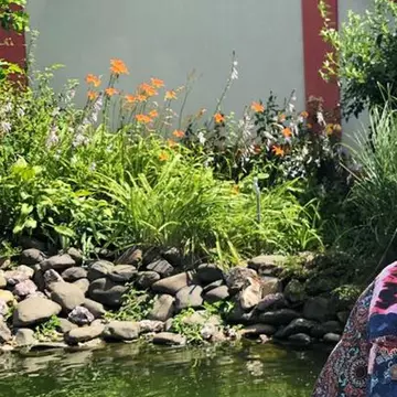 Acasă la Mirabela Dauer. Cum arată vila și grădina de vis a artistei / Galerie foto