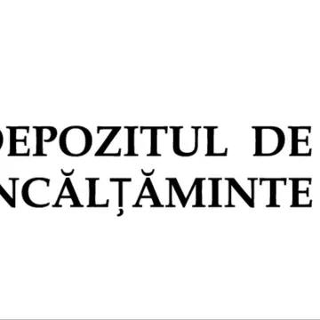 Dragostea de Sine și Pantofii Frumoși: O Poveste de Ziua Îndrăgostiților