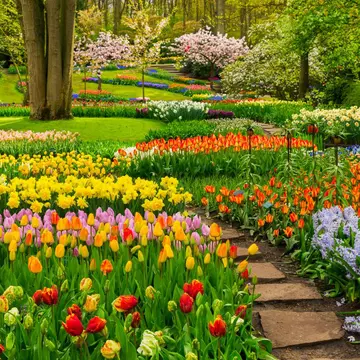 Top 10 cele mai frumoase grădini de flori din lume