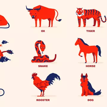 Cei mai inteligenți nativi din zodiacul chinezesc. Au înțelepciune și un IQ remarcabil